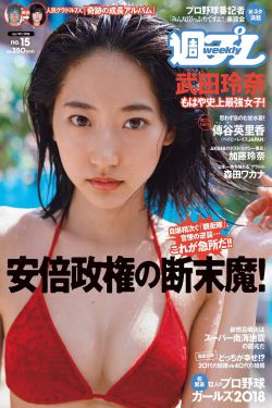 新上门女婿 电视剧